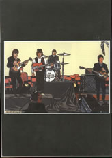 The Beatles' Garden Nº 16