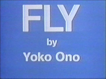 Fly