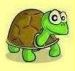 Lazy Tortoise