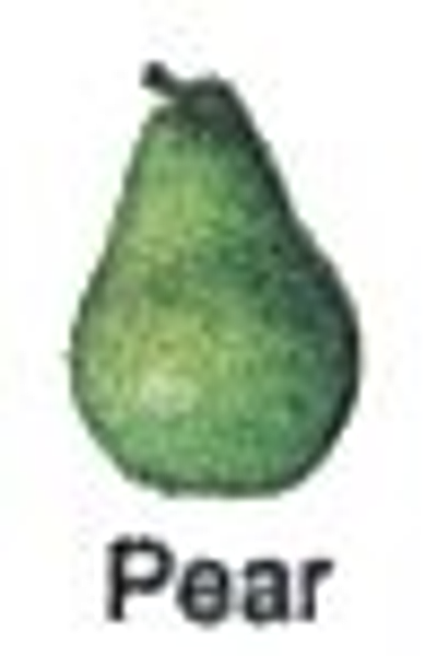 Pear Records
