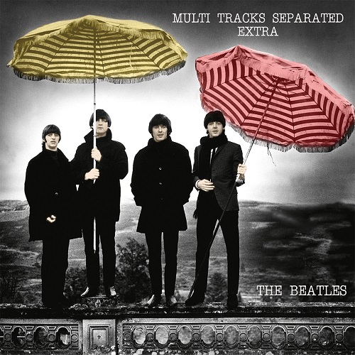 Multi-Tracks Separated Extra