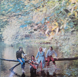 Wild Life (Fame) (1984)