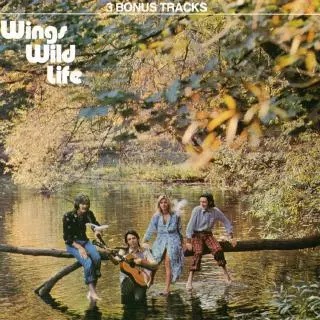 Wild Life (Fame) (1987)